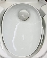 t2
